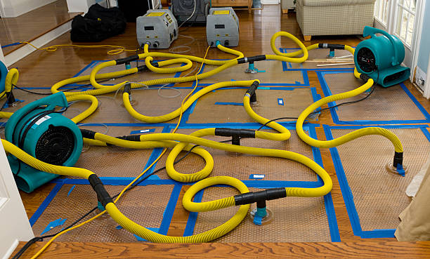 Professional Basement Flood Cleanup technician working in San Lorenzo, CA